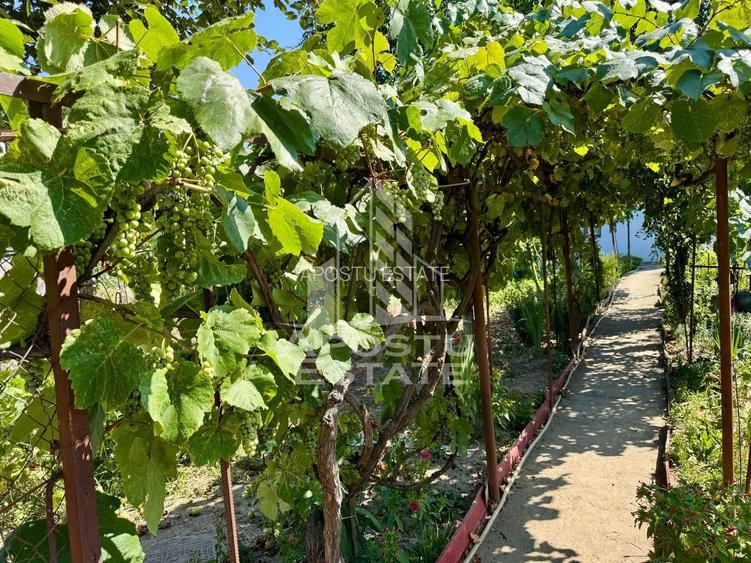 Casa individuala P+1+M,teren 900mp,zona Modern - 23