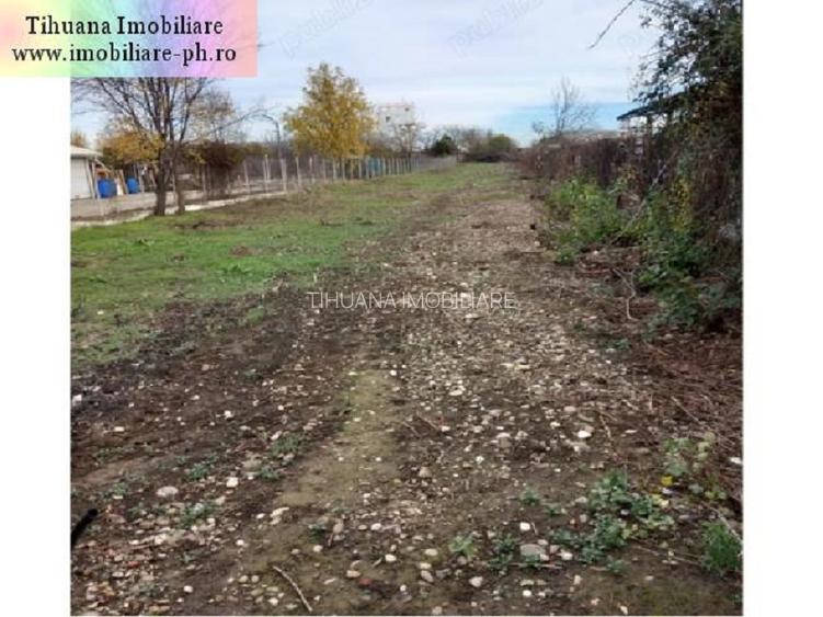 Teren de vanzare - Bereasca (vizavi Gama) - 3