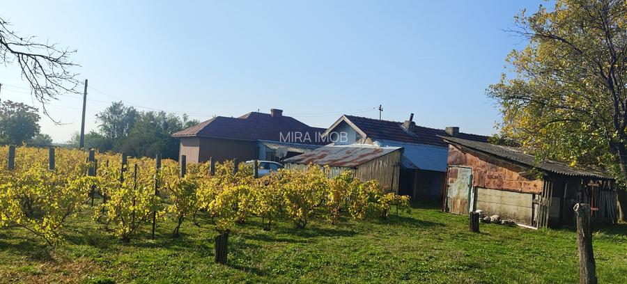 Anunț Vânzare Proprietate Rurală – sat Bușca, comuna Mihăiești, județul Olt - 2