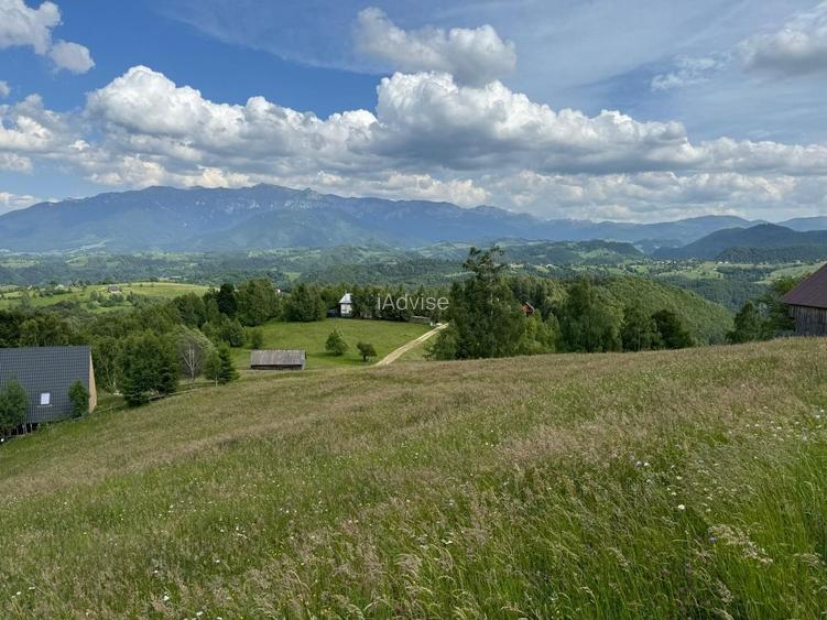 Teren inconjurat de natura de vanzare in Pestera - 10