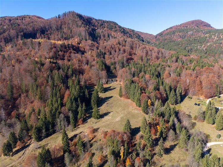 Teren de Vis langa Siriu  – 20000 mp ideal pentru Complex turistic Comision 0% - 6