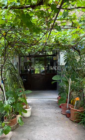 2camere Drumul Taberi Latea Gheorghe - 14