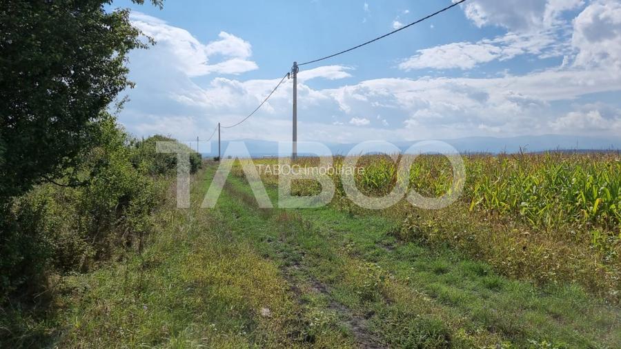 Oportunitate investitie comision 0% 28000 mp in Sura Mica Sibiu - 6