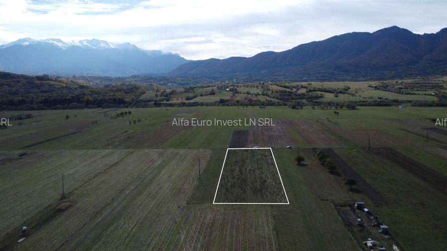 TEREN INTRAVILAN ZONA PENNY - 2