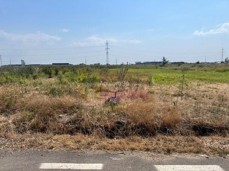 Teren Domnesti- Fortului. - 3