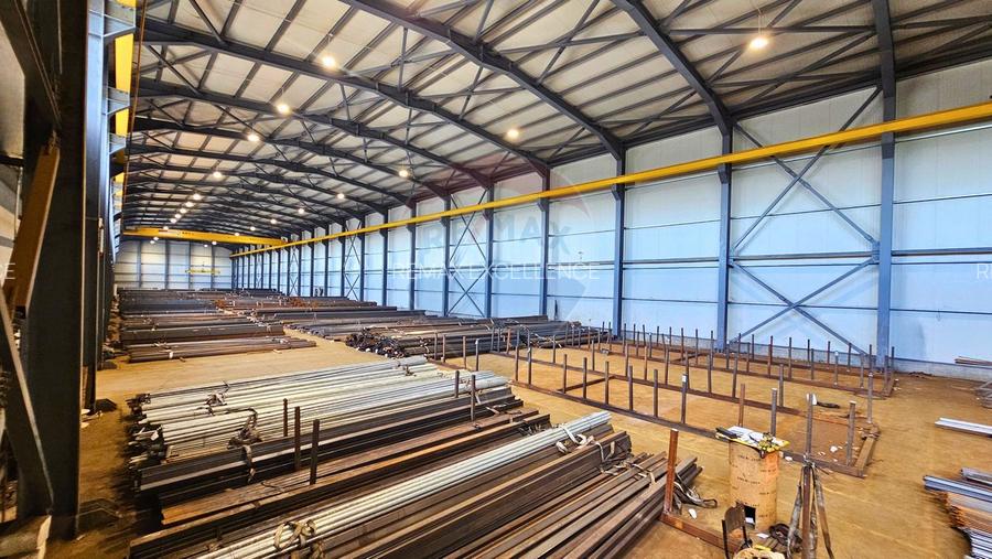 Complex industrial de vanzare – Aricestii Rahtivani, Prahova - 12007mp - 3