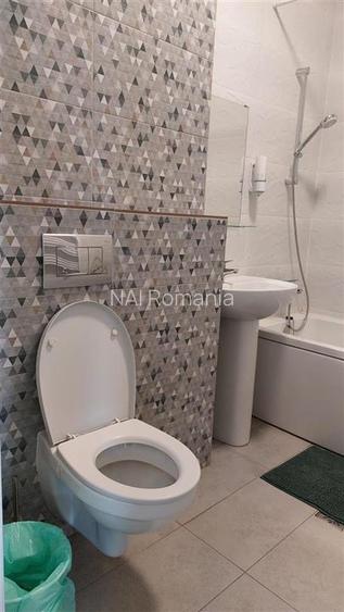 Inchiriere apartament 2 camere aviatiei - 9