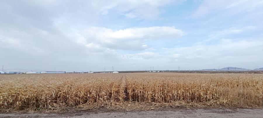 Teren intravilan industrial,str.Durau - 5