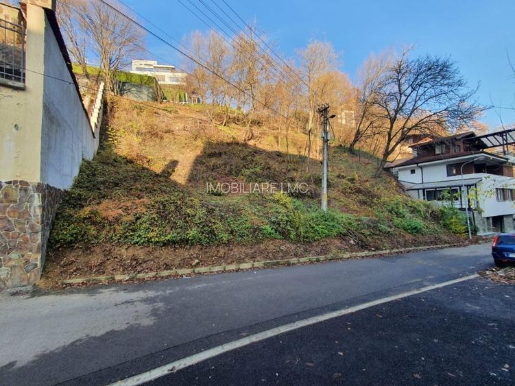 ZONA DEOSEBITA CU MULTA VERDEATA - 5