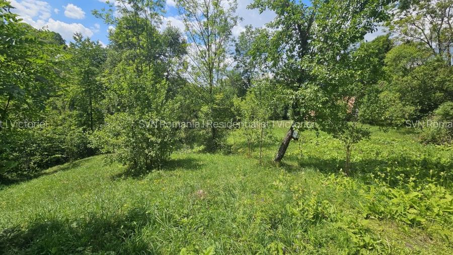 REL4001173 Teren de vanzare in Valea Doftanei - 2