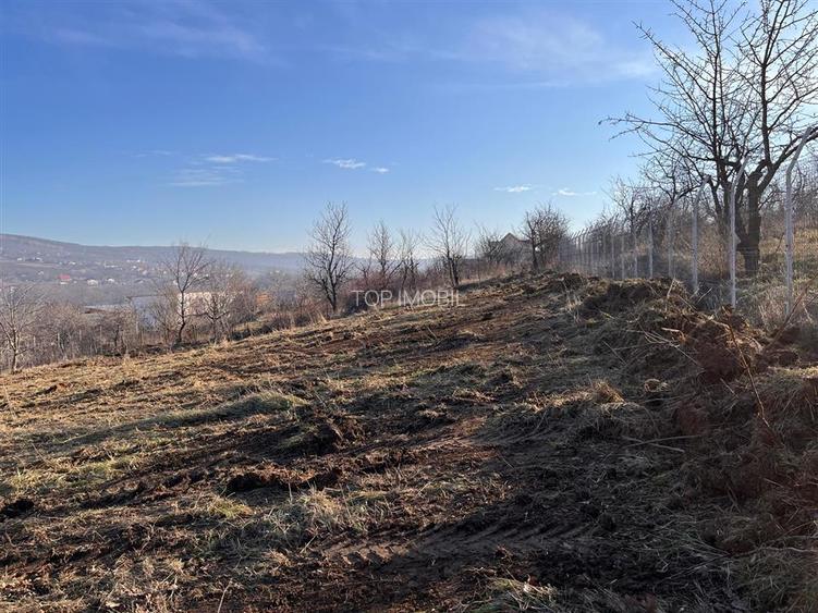 Teren Intravilan La Strada Principala - Barnova - 7