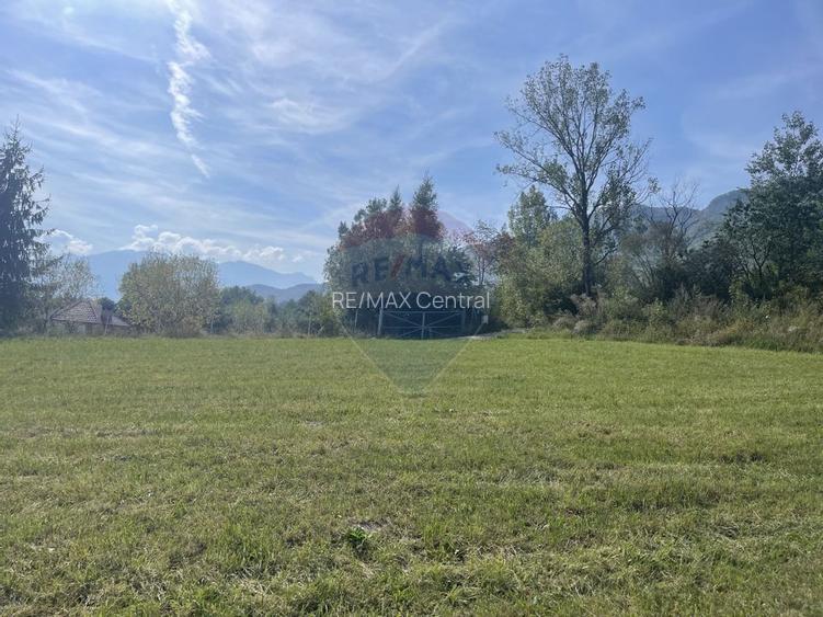 Teren intravilan 850mp Zarnești-Bran, natură-relaxare - 10