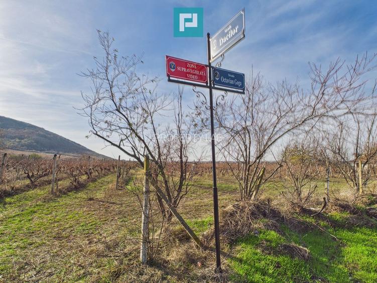 Casuță cu priveliște panoramică spre Cetatea Șiria - 30