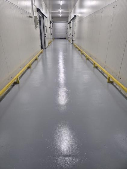 Depozit frig congelate Constanta Ovidiu