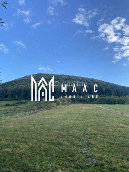 Teren Intravilan I 4129 MP I Gura Raului - 3