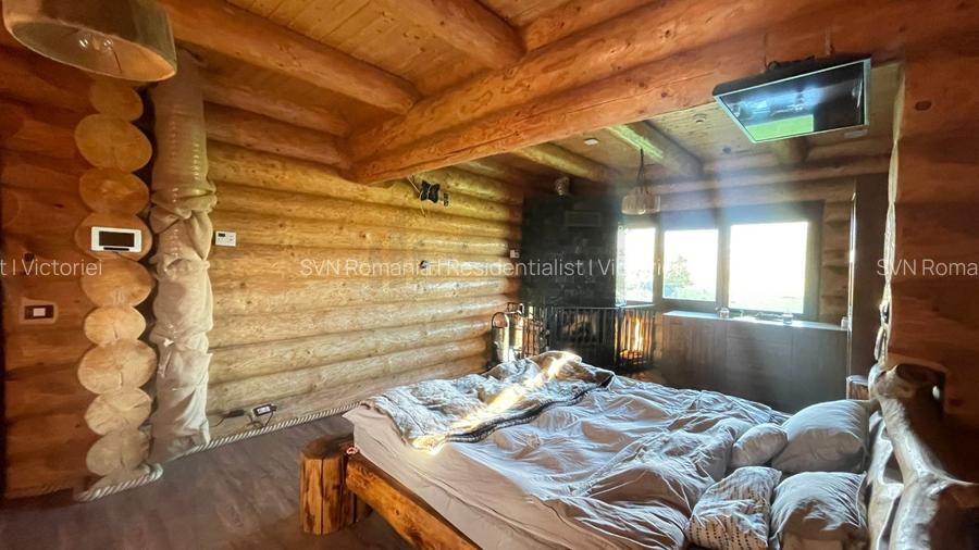 REV2003243 Monument al Naturii in ILFOV Gradistea - 13