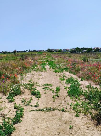 Intravilan 420m2 pe partea dreaptă  - 6