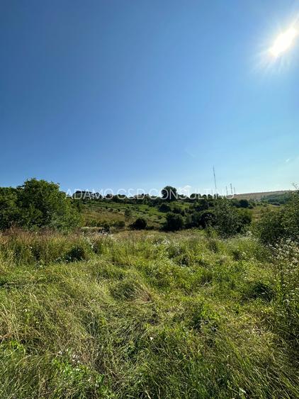 Teren de vanzare in Feleac, Intravilan - 2