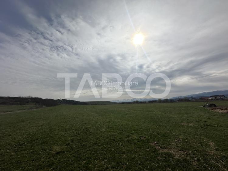 Teren 23.486 mp, deschidere 80 m, ideal comercial/industrial - 3