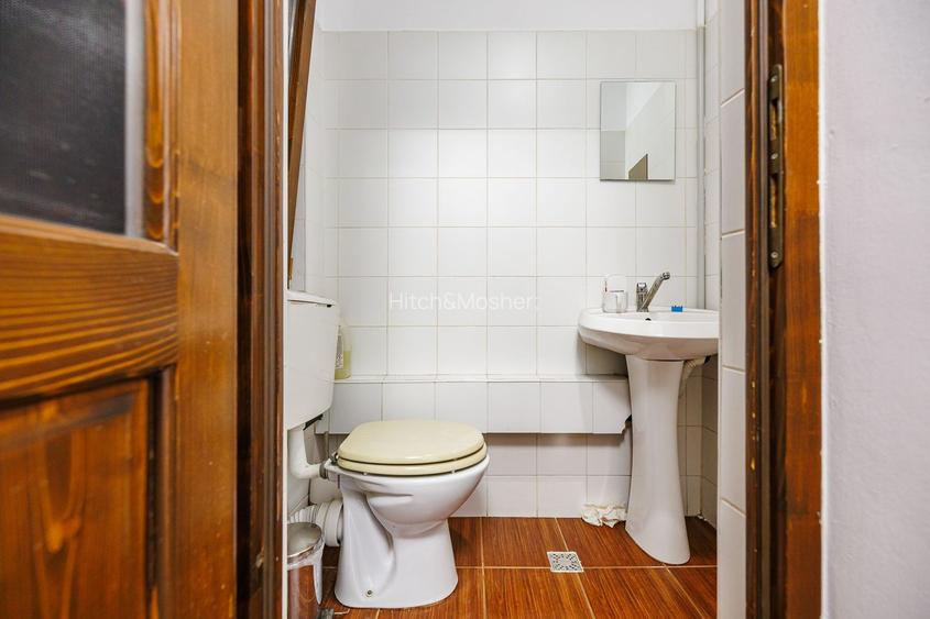 Imobil istoric ultracentral, ideal business, Timisoara - 34