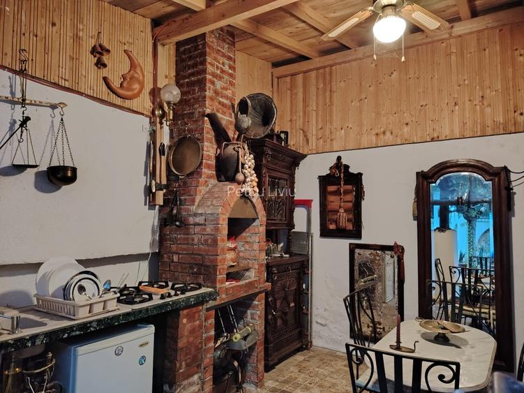 COTROCENI - Aici a visat și a creat pictorului Zamfir DUMITRESCU - 16