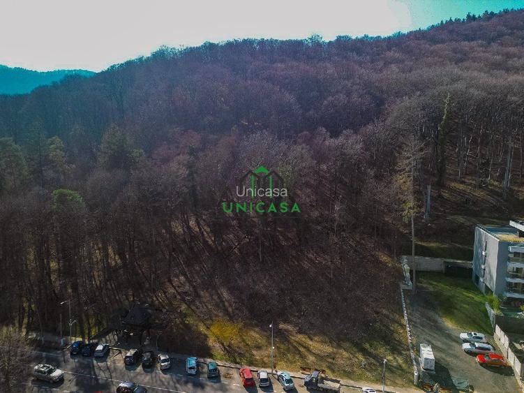 Teren - Caciulata - Deschidere la E81 - 2