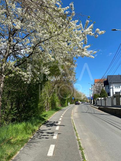 Casa individuala  - vedere spre padure - Parcul Sub Arini  - 38