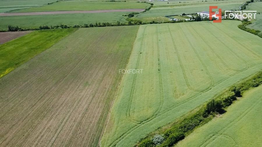 COMISION 0% Oportunitate de investitie in Sacalaz: Teren Extravilan de 9.900MP - 2