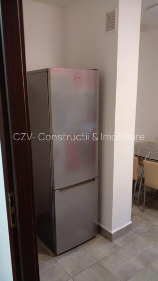 Ap  3   camere Valea Oltului - 14