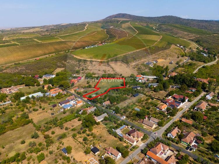Miniș- destinația ideală pentru o resedință de lux în inima naturii. - 6