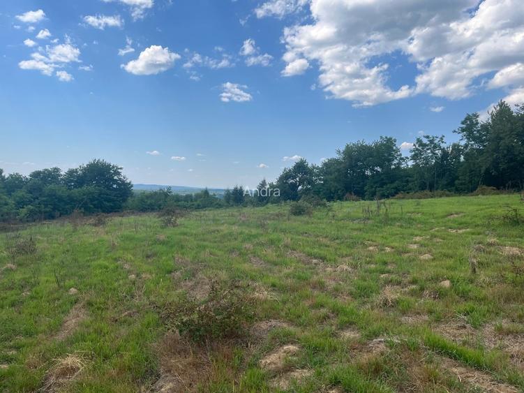 Vand teren la Muntele Mic, jud Caras Severin  - 3