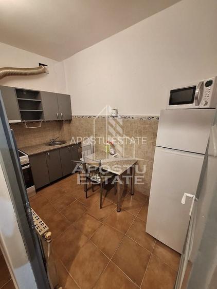 Apartament cu 1 camera , de inchiriat , Zona Lipovei , Timisoara - 3