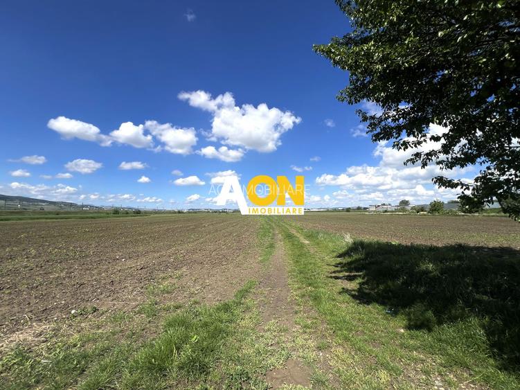 Teren Mixt Industrial de vanzare, 5360mp,  deschidere 41ml - 5