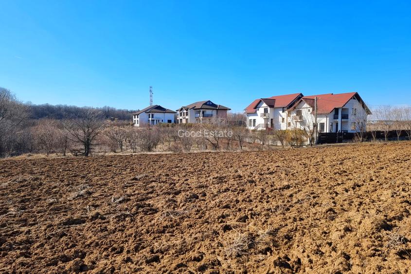 Teren intravilan 13175mp utilitati Ciolpani Strada Alunisului - Padurea Snagov - 10