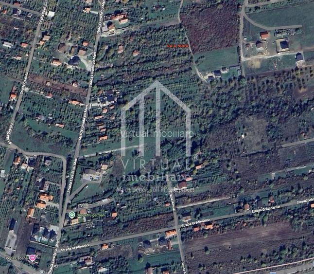 Teren intravilan de constrctii - 270 mp - Daia Noua - 4