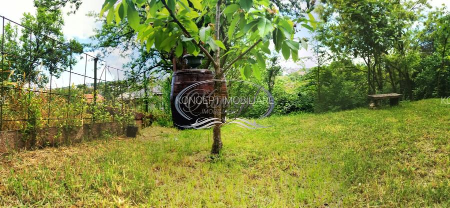 Apartament cu gradina si atmosfera boema, zona Semicentrala - 16