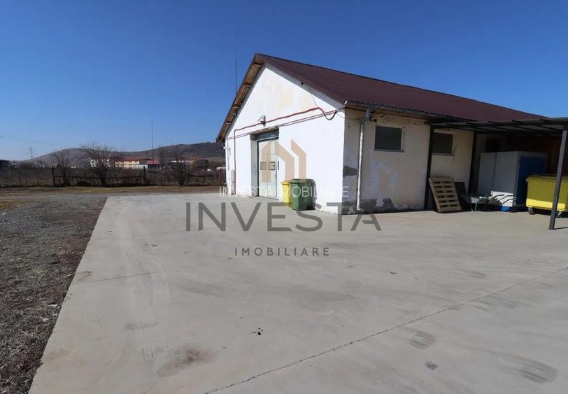 Oportunitate de investitie/Teren si hala - 3