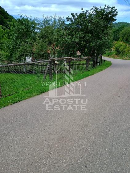 Casa batraneasca de vanzare, 4 camere, in Hunedoara, sat Micanesti - 24