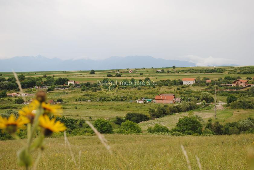 Teren 1,500 mp, vedere panoramica, Sibiu-Daia Noua - 3