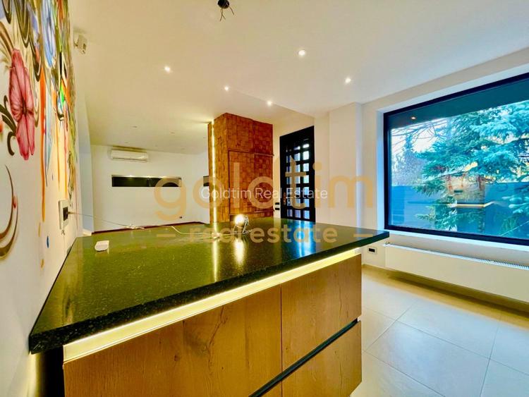 CASA INDIVIDUALA/SUPERBA/PIPERA/EROU IANCU NICOLAE/PISCINA/CURTE GENEROASA - 28