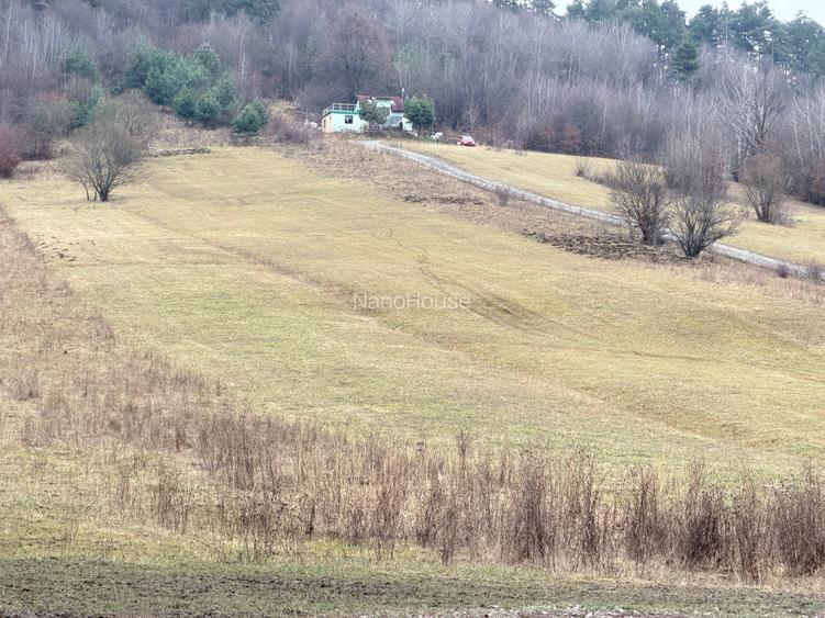 Teren extravilan 1500 mp de vânzare în Teliu – zonă liniștită - 5