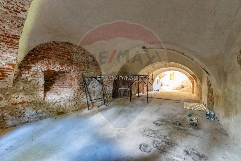 Conac aristocratic secolul XIX , domeniu  2,5 hectare — Păuliș, Arad - 17