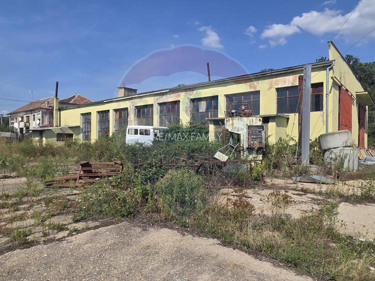 Spațiu industrial 15435 mp. de vânzare in Tinca. - 10