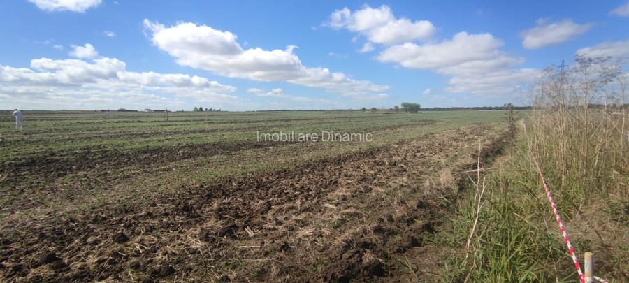Teren Costinesti 500mp - 4