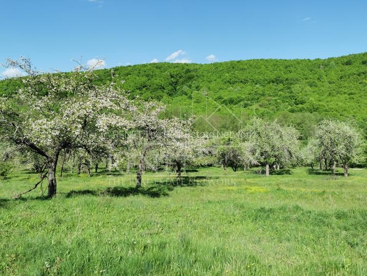 Teren de Vânzare, Budeasa Mica – Potrivit pentru Casă de Vacanță sau Investiție - 3