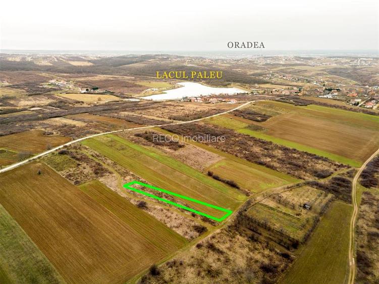 RECO Teren intravilan in Paleu - 5