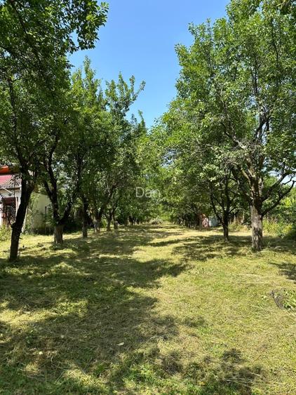 Teren intravilan 1915mp de vanzare zona Tocile (Sibiu) 16,5m deschidere - 5