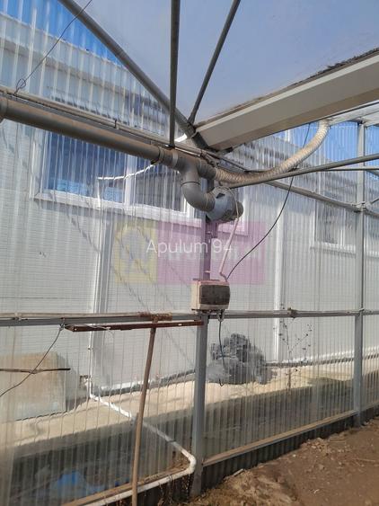 VANZARE TEREN 3100 MP - SAT ROSIORI (IL) - 14