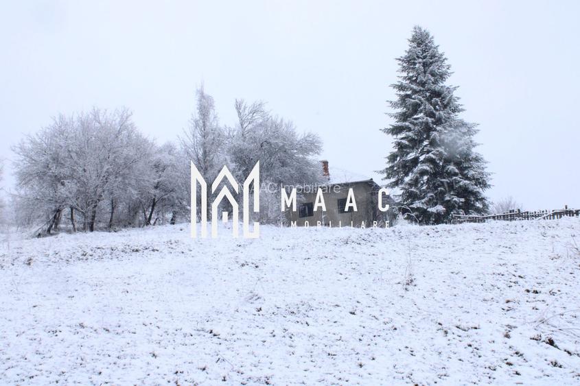 Teren cu izvor de apă minerală  Dangești, Punctul Valea Mare - 7