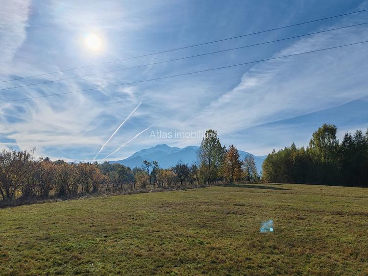 5800 mp fineata, pretabil camping, constructii A-frame, Sohodol, Bran - 4